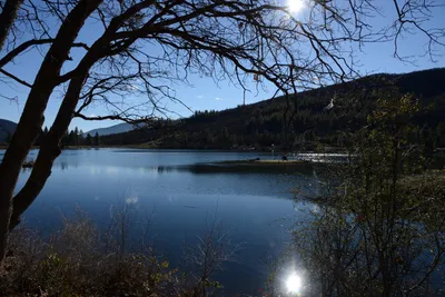 DSC_1138 (Large).JPG